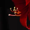 10 Bunga Paling Cantik dan Manis di Dunia, Bentuknya Unik dan Warnanya Bikin Jatuh Cinta