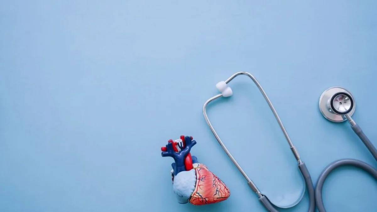 Heart Failure Monitor (HFM), Teknologi Pemantauan Gagal Jantung Pertama di Indonesia
