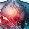 Mengenali Ancaman Penyakit Kardiovaskular Pada Sistem Jantung dan Pembuluh Darah