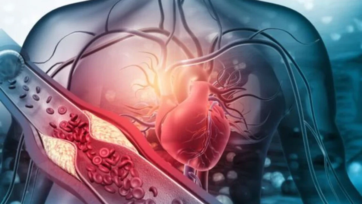 Mengenali Ancaman Penyakit Kardiovaskular Pada Sistem Jantung dan Pembuluh Darah
