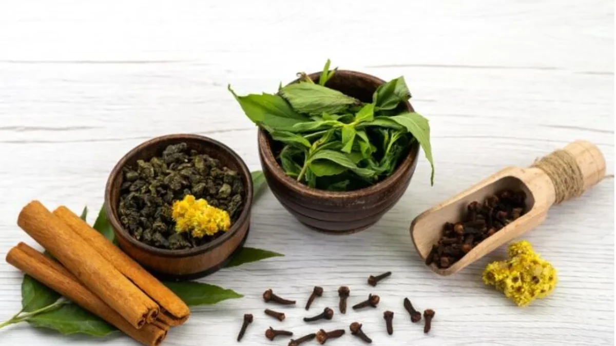 Cara Membuat Ramuan dari Tanaman Herbal Untuk Mengatasi Asam Lambung