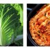 Budidaya Cabbage Hidroponik: Kunci Sukses dalam Memproduksi Kimchi yang Menguntungkan