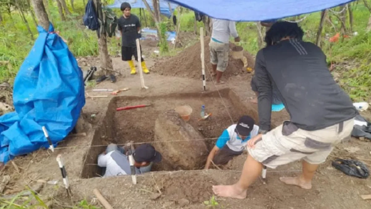 NET ILLUSTRASI TEMUKAN: Fosil Kura-kura purba yang ditemukan di Desa Jembarwangi, Kecamatan Tomo, Kabupaten Su