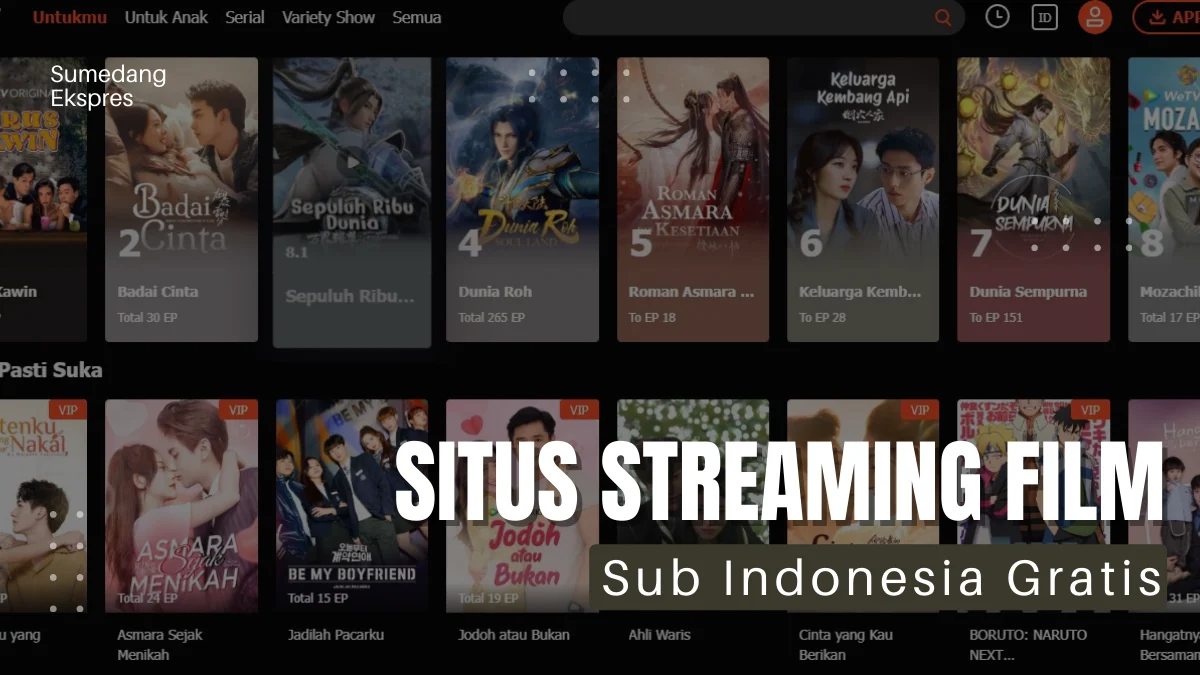 Pengen Nonton Film Barat Terbaik? Ini 7 Situs Streaming Film Sub Indonesia