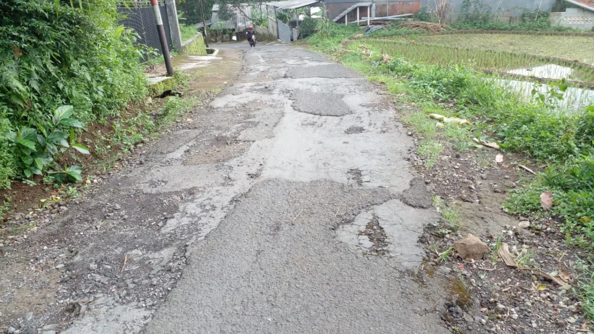 BAHAYA: Beberapa bagian aspal jalang mengelupas dan berlubang di jalan Desa Jatihurip, Kecamatan Sumedang Uta