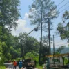 PLN UP3 Sumedang Turut Serta Bersihkan Pohon Di Cadas Pangeran Demi Keselamatan Masyarakat, Jelang Mudik Lebar