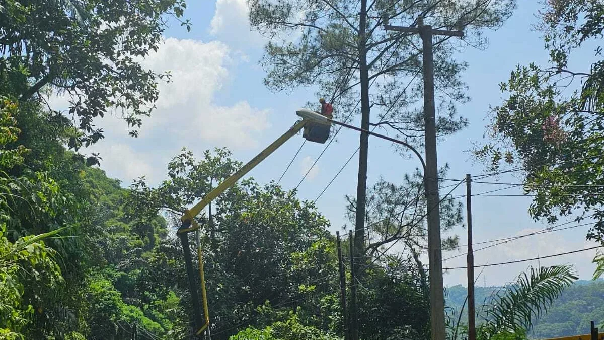 PLN UP3 Sumedang Turut Serta Bersihkan Pohon Di Cadas Pangeran Demi Keselamatan Masyarakat, Jelang Mudik Lebar