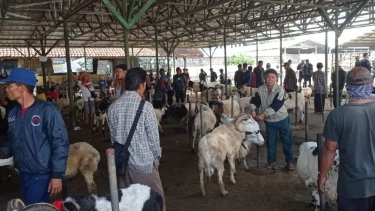 RAMAI: Para pedagang saat menjajakan hewan di Pasar Hewan Tanjungsari, baru-baru ini.