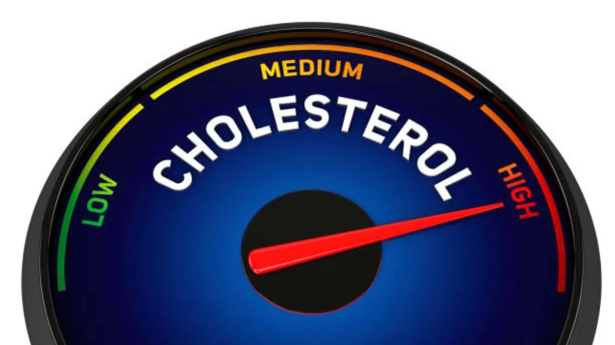 Cara Turunkan Kolesterol yang Efektif