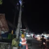 PANTAU: Petugas PLN ULP Tanjungsari saat melakukan pengecekan serta mamperbaiki kondisi kabel yang sempat meng