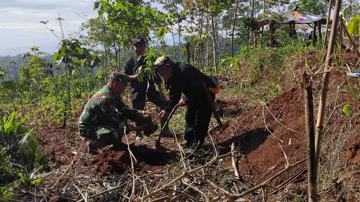 BEJIBAKU: Anggota Koramil 1015 Cibugeul Kodim 0610 Sumedang saat melaksanakan penanaman pohon di Blok Tanah Ca