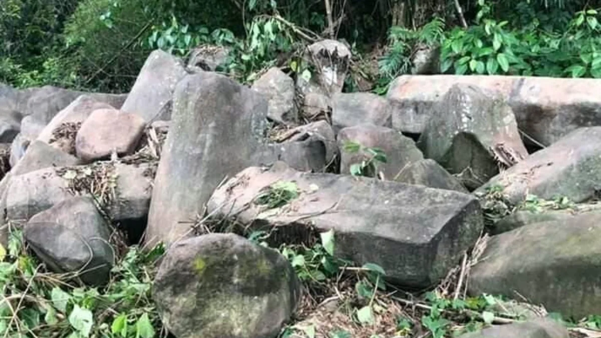 RIMBUN: Wisata Batu Sanghyang yang kondisinya saat ini rimbun dan tidak terawat.