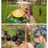 Festival Sawah di Desa Baginda Sumedang