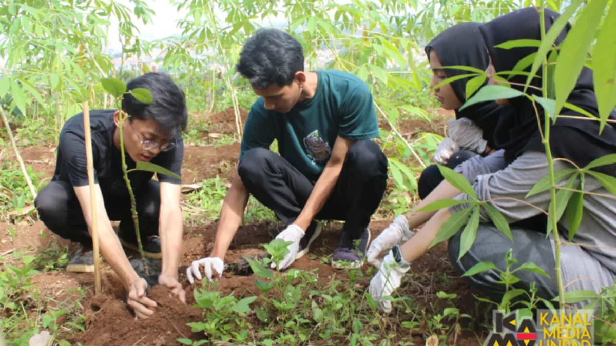 Sejumlah mahasiswa dari organisasi IAAS LC Unpad melakukan penanaman bibit pohon di kawasan lereng Gunung Geul