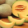 Tips Mudah Budidaya Melon di Rumah dnegan Mudah