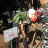 TANAM: Salah satu personil TNI saat melakukan penanaman pohon di Desa Ciherang, Rabu (5/6).