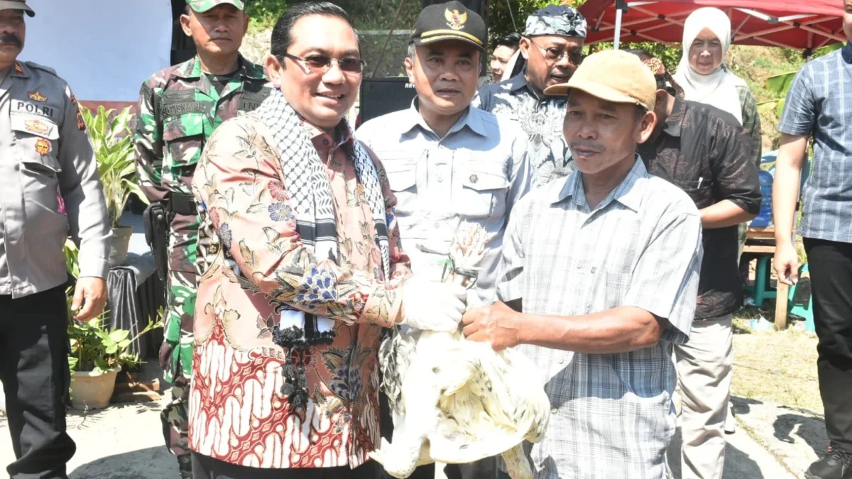 SIMBOLIS: Pj Bupati Sumedang saat memberikan bantuan ayam kampung ke salah satu warga Cisitu, baru-baru ini.