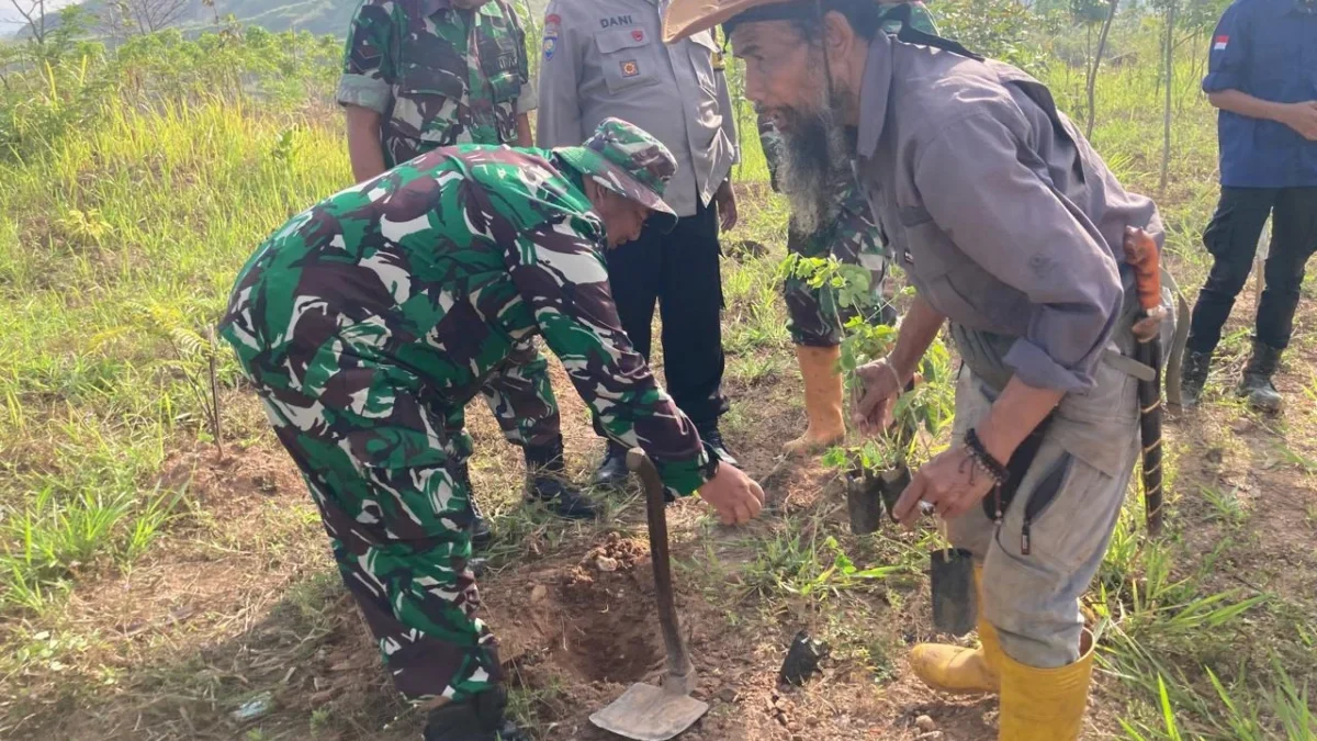 TANAM: Danramil 1005/Jatinangor Kapten Inf Dadang Sopyan melaksanakan penanaman pohon di Desa Jatiroke, Rabu (