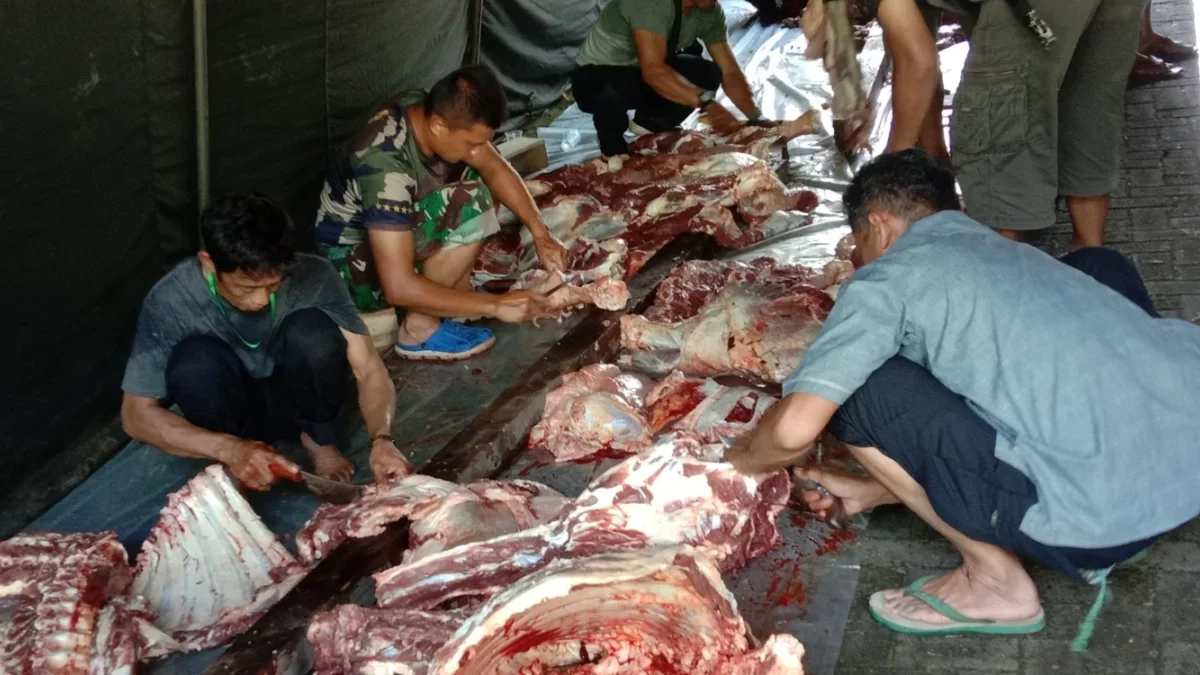 POTONG: Anggota Kodim Makodim Sertu Agustana pada saat melaksanakan pemotongan daging hewan kurban, di Makodim