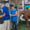 BERSALAMAN: Politisi PAN Fajar Ardila pada saat menyerahkan hewan kurban di salah satu kecamatan, Senin (17/6)