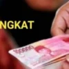 ILUSTRASI: Ketua DPC Apdesi Kabupaten Sumedang Welly Sanjaya mengajukan penghasilan tetap (siltap) Kepala Desa