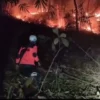 PADAMKAN: Anggota BPBD Sumedang saat melakukan pemadaman kebakaran lahan beberapa waktu lalu.