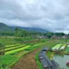 Rezeki Nomplok Kisah Pemilik Lahan di Desa Talagasari Garut yang Mendapatkan Rp 2,3 Miliar dari Tol Getaci