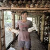 Menilik Budidaya Jamur di Desa Tambakan Kampung Kanayakan Subang