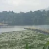 Sampah Menumpuk di Perairan Sungai Citarum, Jembatan Penghubung Cihampelas-Batujajar Terpaksa Diputus
