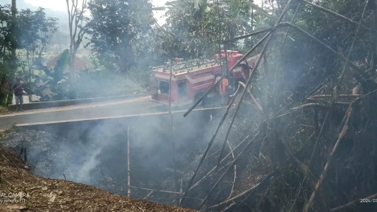 PADAMKAN: Petugas Damkar saat berusaha memadamkan kebakaran hutan dan lahan di Tanjungkerta, baru-baru ini.
