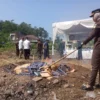 PEMUSNAHAN: Kajari Sumedang, Yenita Sari saat membakar ribuan bungkus rokok ilegal, di lahan yang akan dijadik