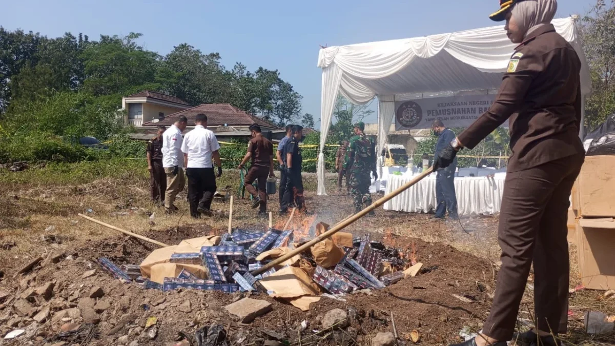 PEMUSNAHAN: Kajari Sumedang, Yenita Sari saat membakar ribuan bungkus rokok ilegal, di lahan yang akan dijadik