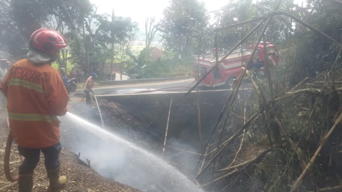 PADAMKAN: Beberapa petugas saat berusaha memadamkan api saat terjadi kebakaran hutan dan lahan di Tanjungkerta