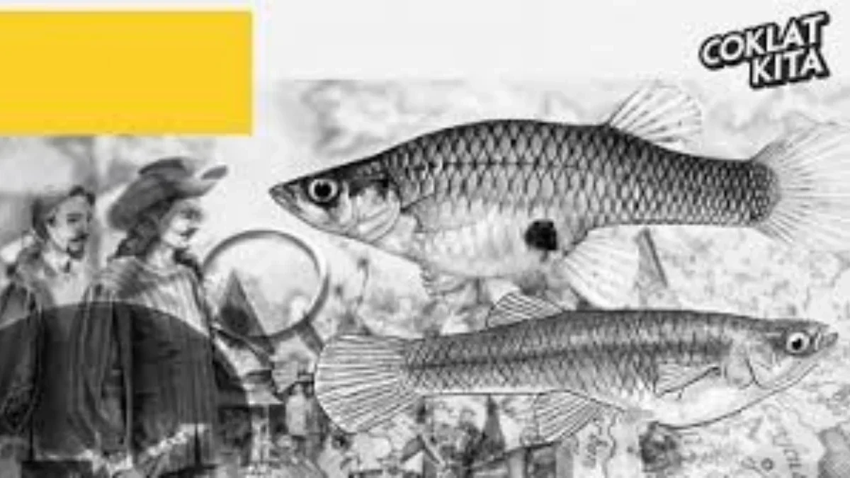 Manfaat Ikan Impun Bagi Kesehatan Badan