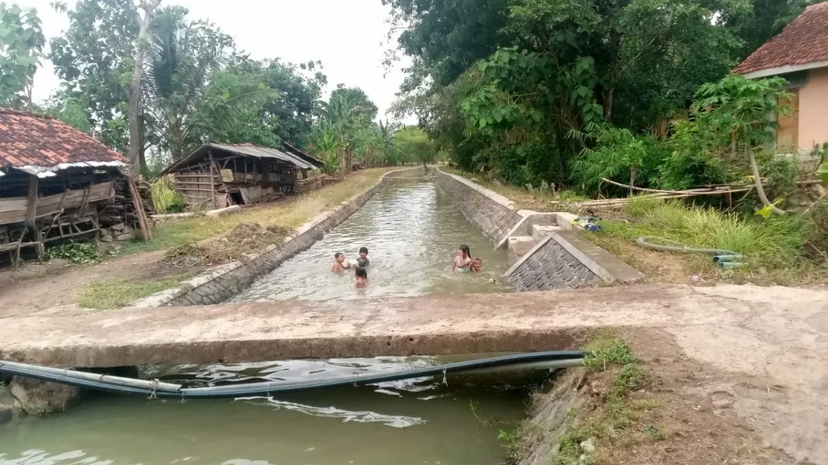 PENUH: Saluran irigasi dipenuhi air setelah Bendung Cariang dibuatkan tanggul sementara beberapa waktu lalu.